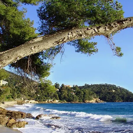 Villa Louisette Bed & Breakfast *